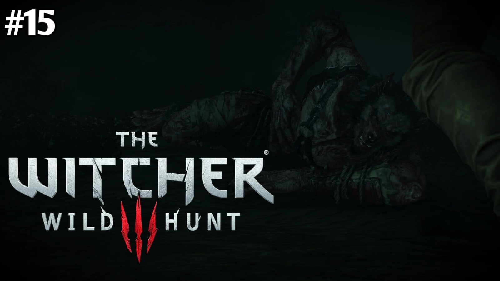 ДИКОЕ СЕРДЦЕ - The Witcher 3: Wild Hunt
