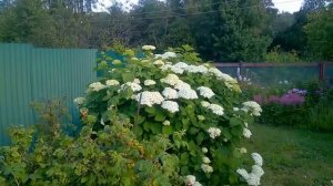 Обзор дачи. Купили дачу за 140 тыс.