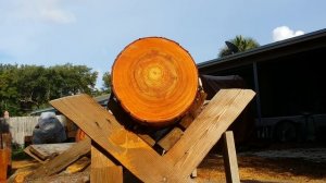 Husqvarna 372xp 385xp 395xp 3120xp ported