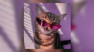 Кальянный рэп ?