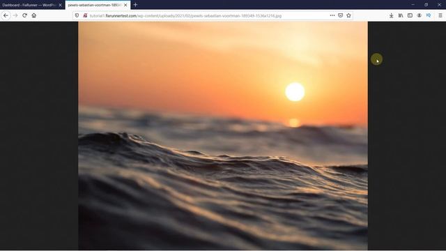How To Get The URL Of The Images You Upload In WordPress смотреть онлайн