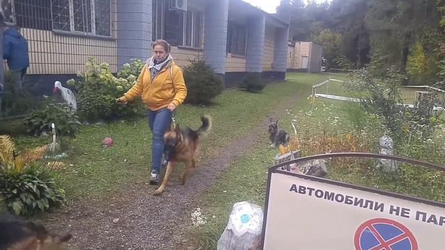 07.10.17 г. Кони - ещё больше усложнений на выдержке. 2ч. смотреть онлайн