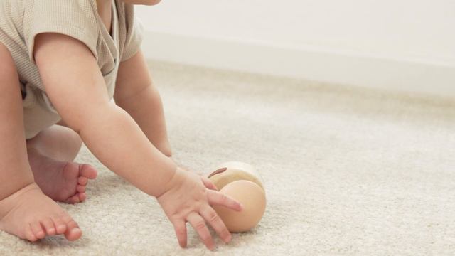 PlanToys | 5284 Clapping Roller - Modern Rustic смотреть онлайн