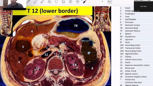 Review of Cross-sections I Amro Hajja I GIT 113 PAL review session смотреть онлайн