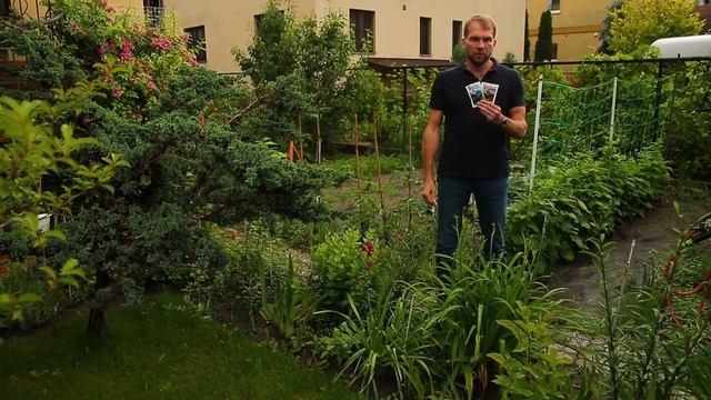 Бородьба з слимаками. Препаратами "УлиЦид" та новинка 2021 року "СлимакOff" смотреть онлайн