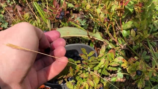 2-поход на Поднебесные зубья, Междуреченск, Кузнецкий Алатау, Лужба, Алгуйские водопады, Пик дурако