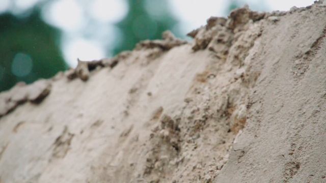 1 Year Behind The Lens - Calvin Huth смотреть онлайн