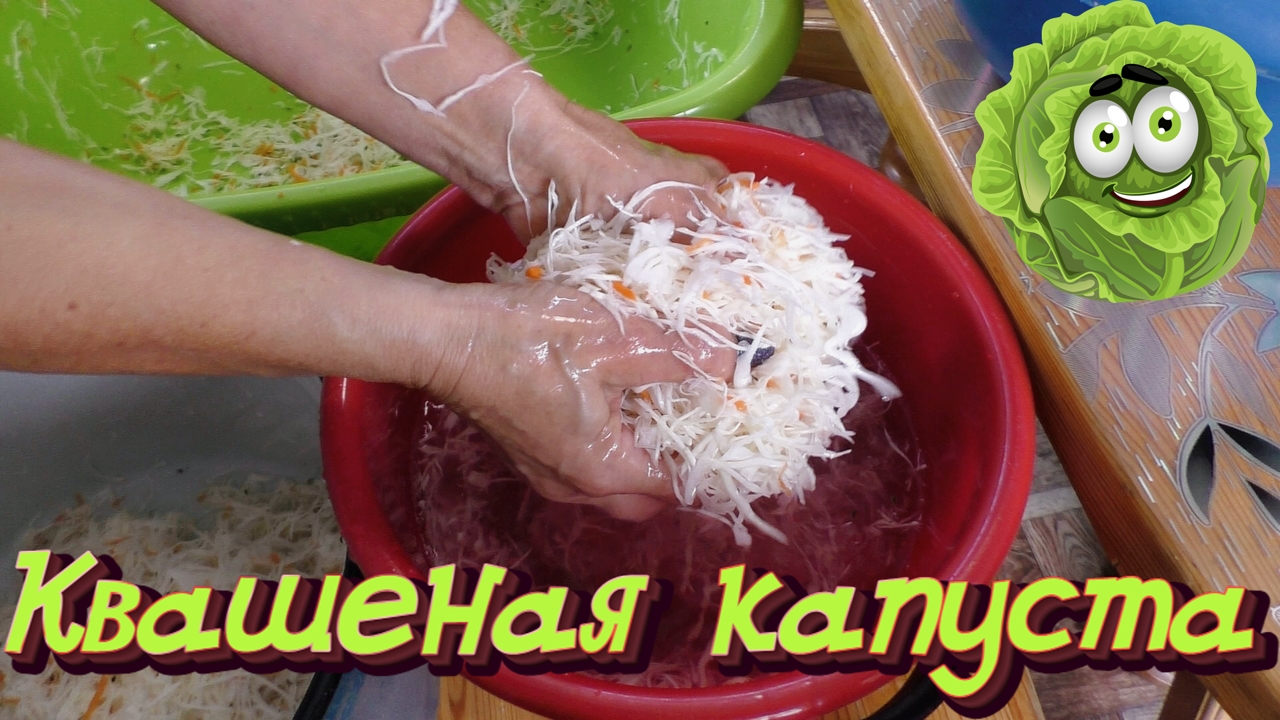 Квашеная капуста рецепт. Как солить капусту на зиму смотреть онлайн