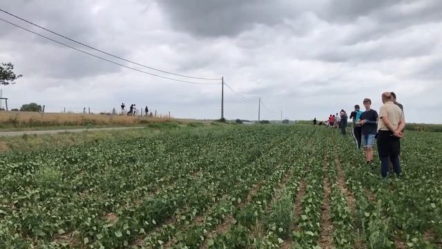 WRC Ypres rally Belgium SS19 Full throttle Toyota Yaris #18 Katsuta #4 Lappi #33 Evans смотреть онлайн