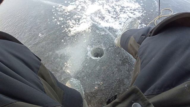 ЛАДОГА.КРЕНИЦЫ.Ловля окуня на блесну. Рыбалка в конце января. смотреть онлайн