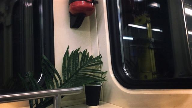 ШХД: ЗИМА ЭЛЛИ НА МАКОВОМ ПОЛЕ - ПОЛВЕЧЕРА [ХОРОВОД] смотреть онлайн