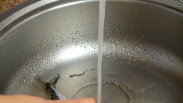 Веганские Рецепты