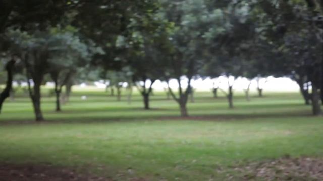Organic Macadamia Nut Industry in Australia: From Farm to Mouth смотреть онлайн
