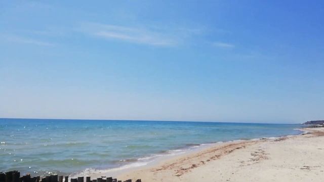 Морской чёрный гусь смотреть онлайн