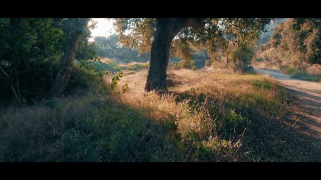 GoPro Hero 12 Cinematic Video Test - Log HDR and Standard смотреть онлайн