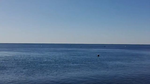Адлер. Черное море в ноябре. Дельфины смотреть онлайн