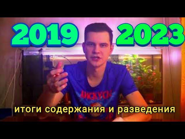 Подведение итогов содержания дискусов 2023 года смотреть онлайн