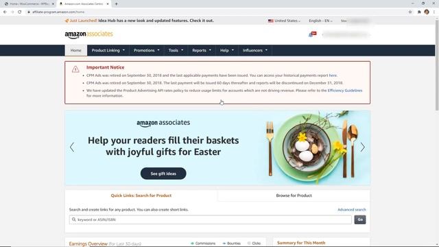 How to Build An Amazon Affiliate Store Using WordPress смотреть онлайн