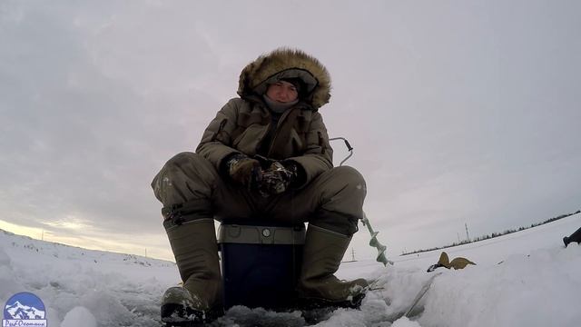 Уловистый балансир для зимней рыбалки с AliExpress в декабре смотреть онлайн