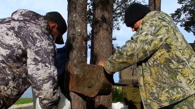 Сбор кедровых орешков и отделение от шишки с помощью сепаратора. смотреть онлайн