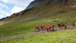 🇫🇷 Walking France • COL DE ARAVIS • La Clusaz • Route des Grandes Alpes