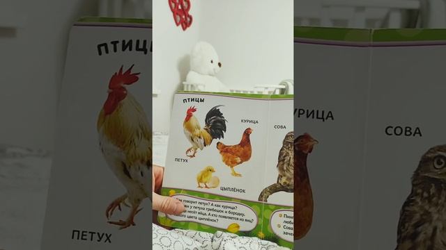 Перед сном малышам. Каролина и Папа читают книжку влог. смотреть онлайн