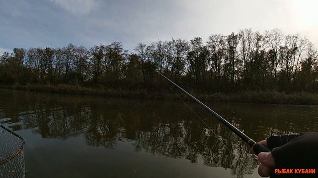 с 2024 годом!!!ловля судака смотреть онлайн