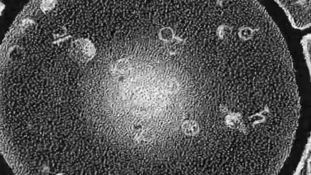 Оккультизм или как стать ведьмой в 21 веке смотреть онлайн