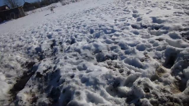 Игрушка Хатико смотреть онлайн