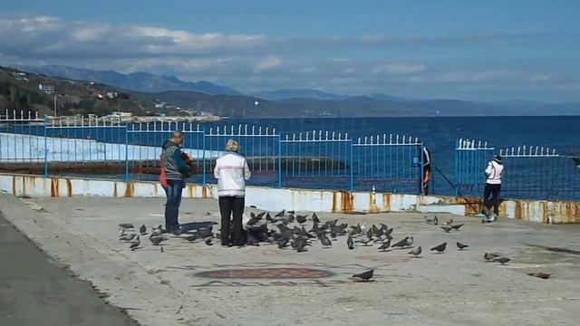 Крым. Алушта сегодня 28.04.2016 смотреть онлайн