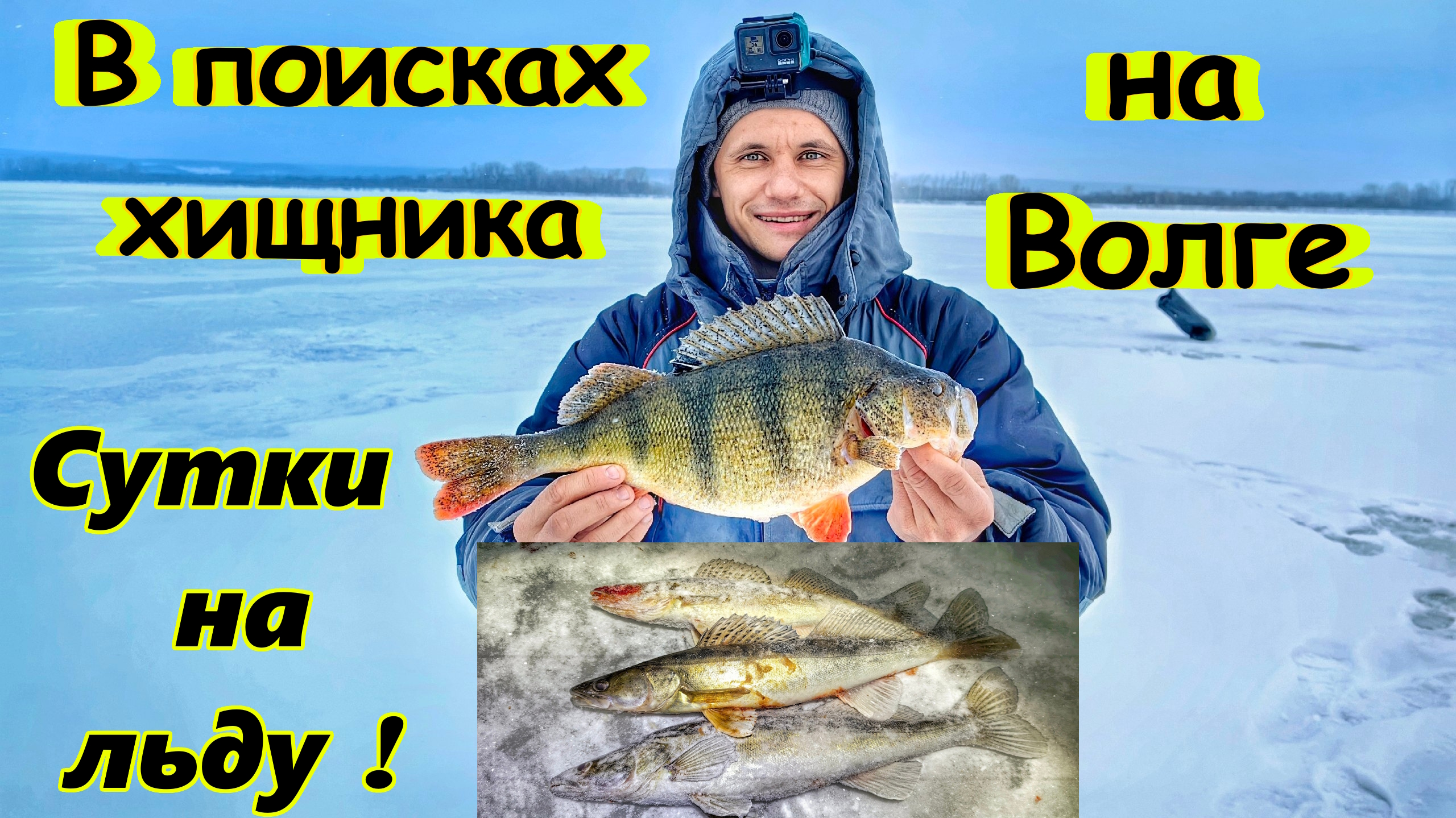 НОЧНОЙ СУДАК И КРУПНЫЙ ОКУНЬ НА ВОЛГЕ/ЛОВЛЯ СУДАКА НА ВИБЫ/ОКУНЬ НА БАЛАНСИР/САМАРА,САРАТОВСКОЕ ВДХР смотреть онлайн