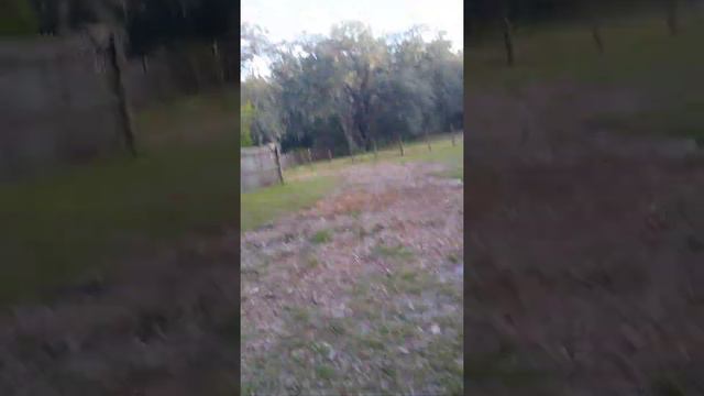 Udir/c traveler U818A plus-W смотреть онлайн