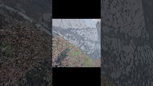 Американский коттедж до военного времени смотреть онлайн