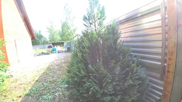 ВЛОГ...САЖАЕМ ОГОРОД\\\СЖИРАЮТ КОМАРЫ\\\НОВАЯ скатерть///ЧЁ сюда ПРИПЁРЛИСЬ///Всё НАДРАИВАЕТ смотреть онлайн