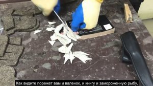 ПУУККО. КРАШ-тест. БАРК.