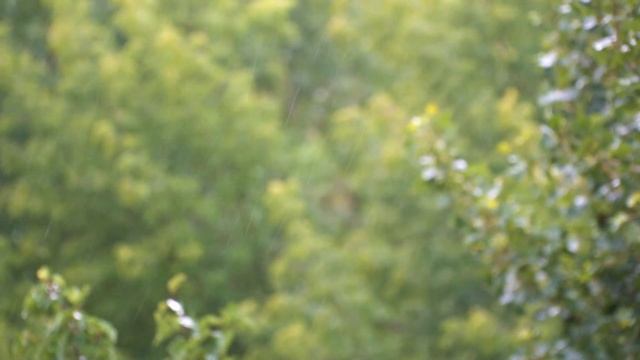 МЕДИТАЦИЯ устранение пожаров на всей ПЛАНЕТЕ! смотреть онлайн