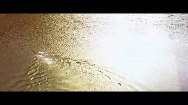 HONOR MagicWatch 2 | In-Depth Product Look смотреть онлайн