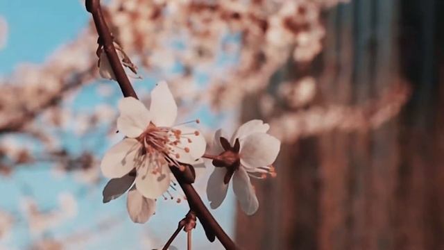 Весна, апрель, приятная музыка! смотреть онлайн