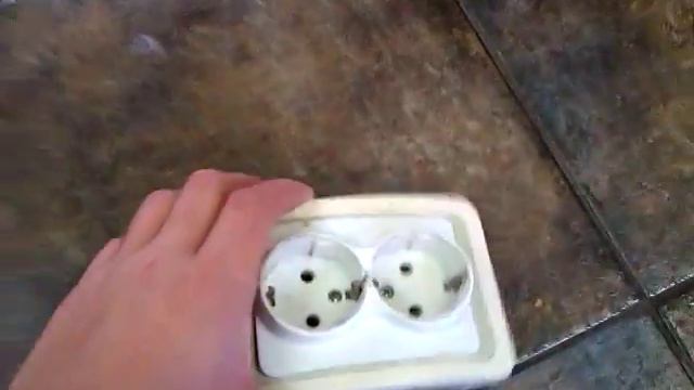 Французский бульдог откусил розетку / French bulldog смотреть онлайн