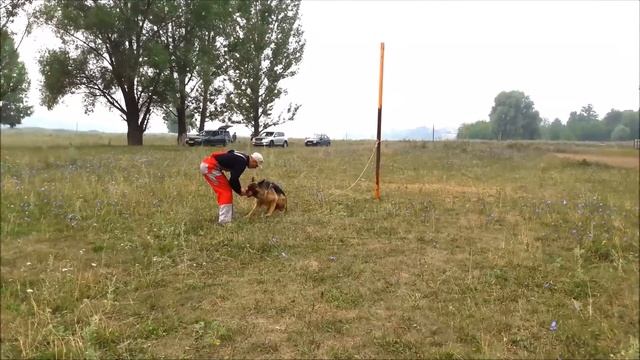 Форвард ЗКС смотреть онлайн