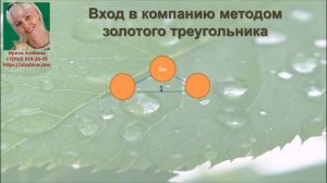 Greenleaf - почему выгоден Золотой Треугольник