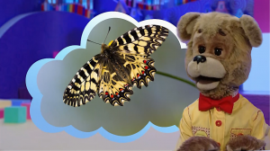 ✨Спокойной ночи, малыши!✨ День бабочек