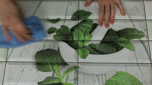 Панель ПВХ Плитка Мята панно 955х480 мм & Panel PVC Tile Mint panno 955x480 mm рус смотреть онлайн