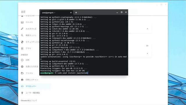 LinuxとPythonのインストール（Chromebook） смотреть онлайн