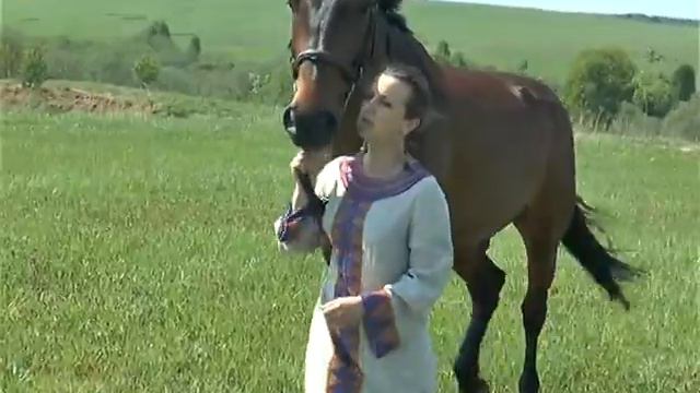 Фестиваль клубов исторической реконструкции "ДЕНЬ РУССКОЙ СЛАВЫ" смотреть онлайн