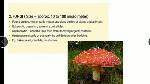 Science Chapter 1 part 2 Classification of Microorganism