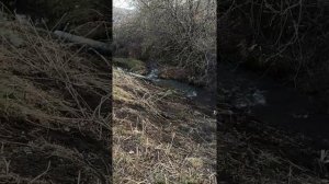 бесплатная электроэнергия Мини-ГЭС на речке Никишкино, своими руками.