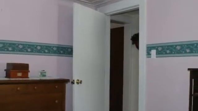 Welcome to 828 Lincoln Avenue смотреть онлайн