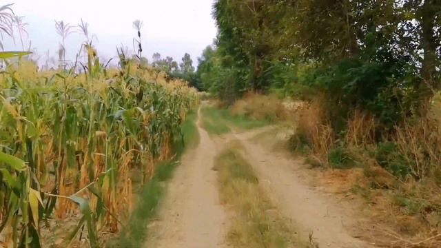 Desi Village Life Daily Routine Vlog September 25, 2023🍜 смотреть онлайн