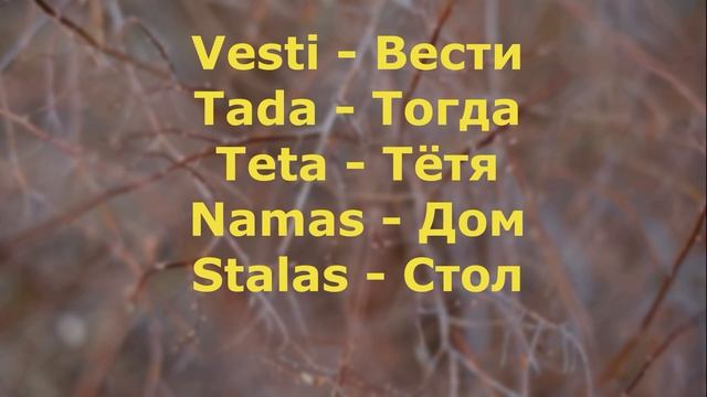 0004 Фразы. Литовский язык. смотреть онлайн